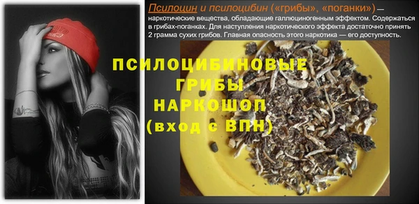ALPHA PVP Покачи