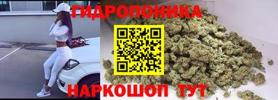 a pvp Новокубанск