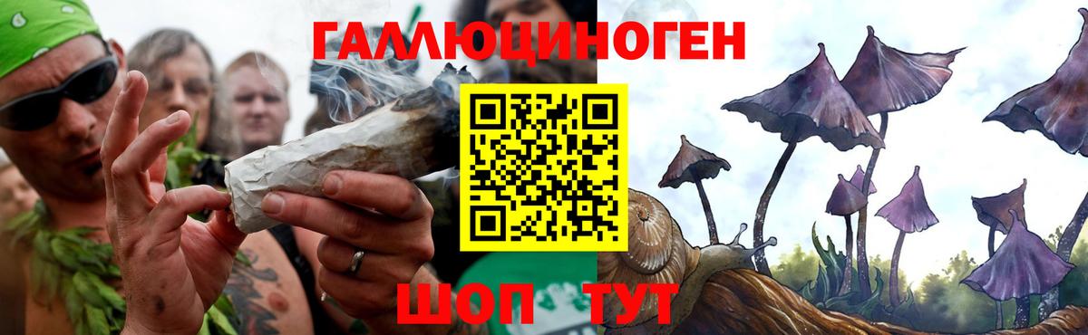 Галлюциногенные грибы мухоморы Ревда